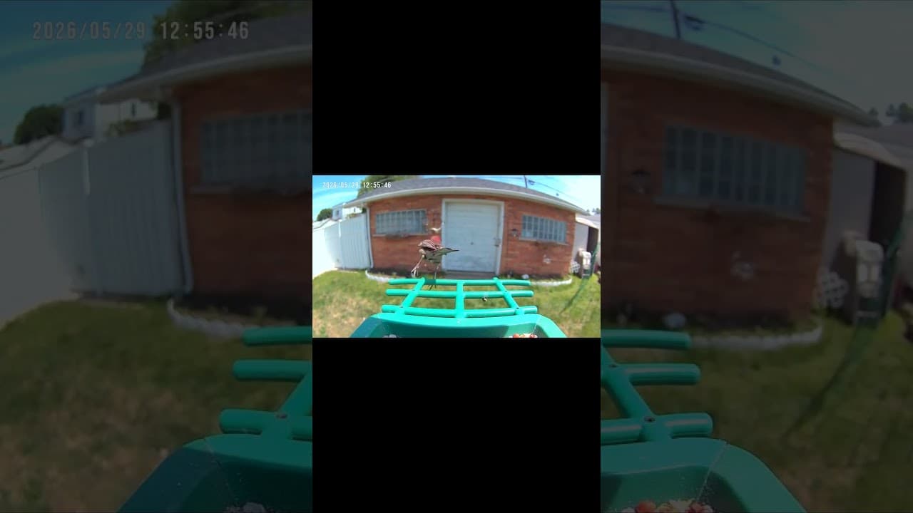 Blink and You'll Miss It